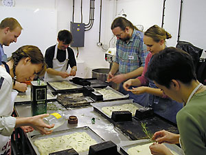 CobsBakery bread baking workshop